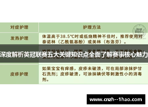 深度解析英冠联赛五大关键知识点全面了解赛事核心魅力