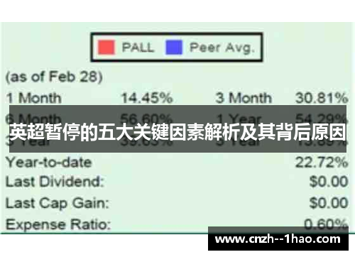 英超暂停的五大关键因素解析及其背后原因 英超暂停的五大关键因素解析及其背后原因