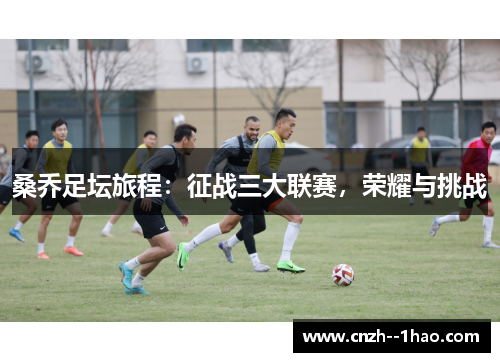 桑乔足坛旅程:征战三大联赛,荣耀与挑战 桑乔足坛旅程:征战三大联赛,荣耀与挑战